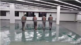 上顏色實拍